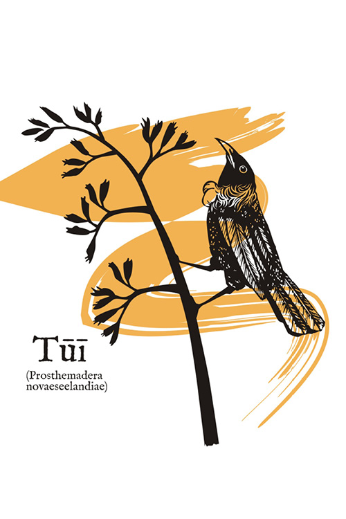 Home-Samples-Illustration